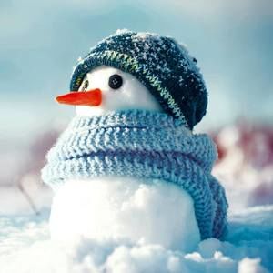 Meet your Posher, Shellie